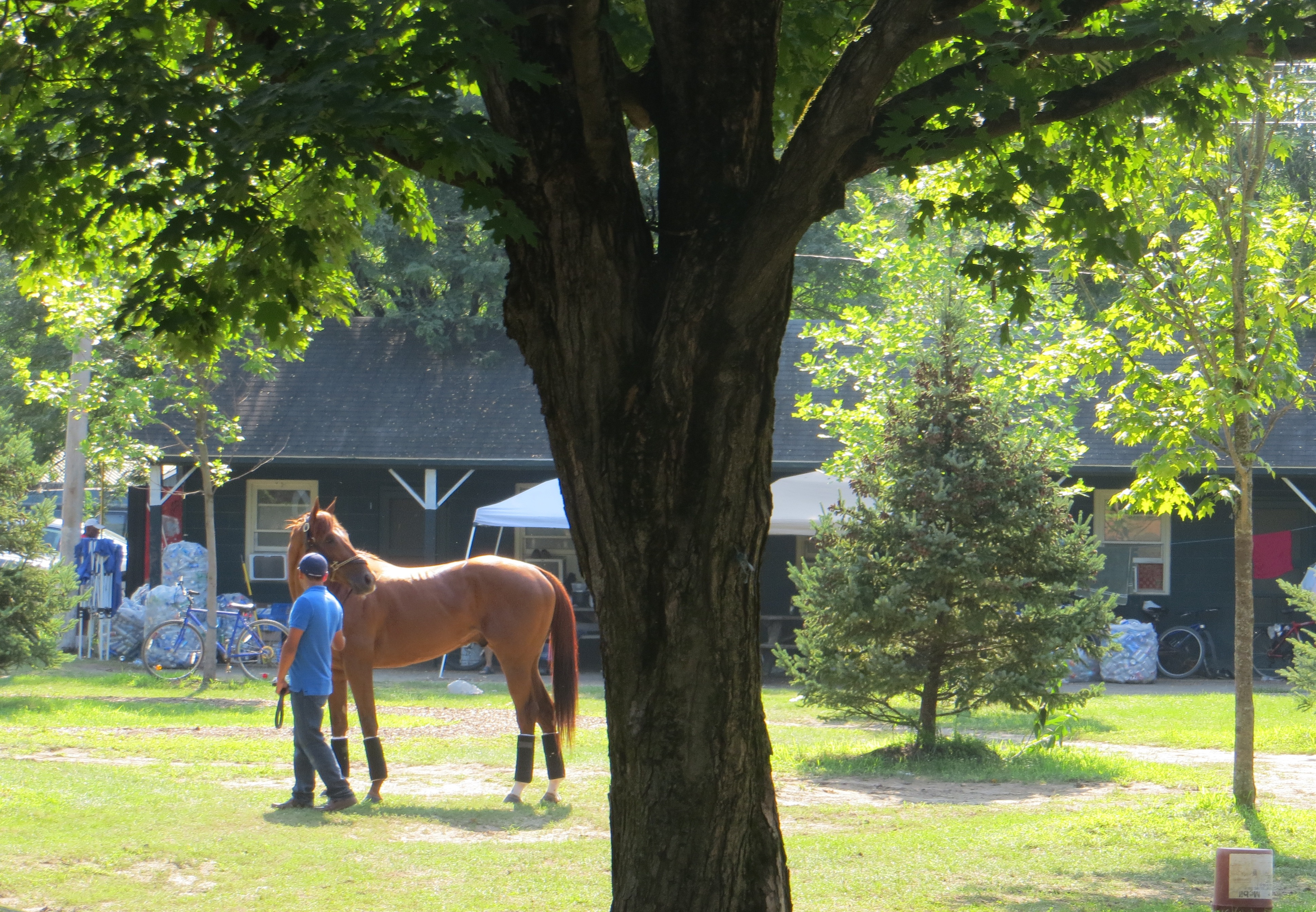 Mind Your Biscuits has a great spot at Saratoga this year