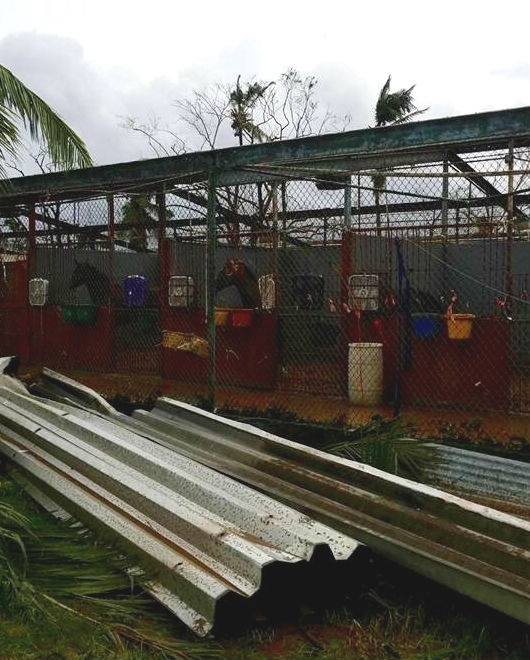 Hipodromo Camarero after Hurricane Maria