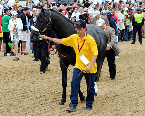Preakness Finish