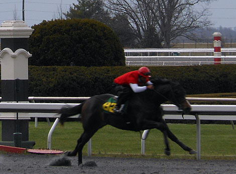 KEE April 2013 Hip 82