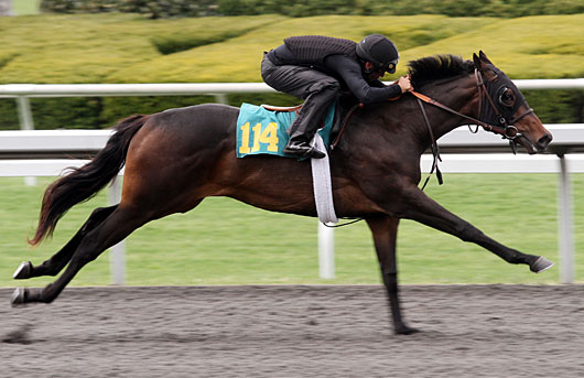 KEE April 2014 Hip 114