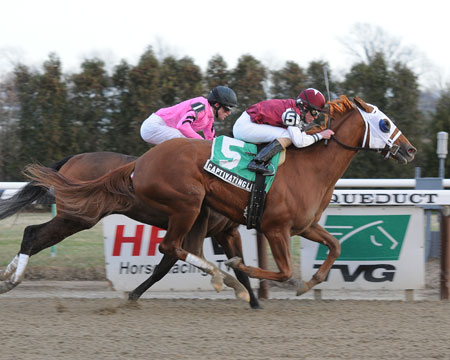 Busanda Stakes