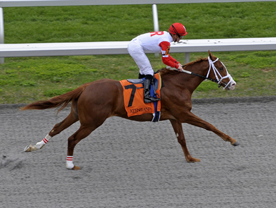 Cater to Kitten Keeneland 04/03/09 Photo by Anne M. Eberhardt