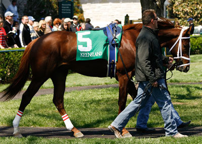 Dean's Kitten in the paddock at Keeneland, April 9, 2009.