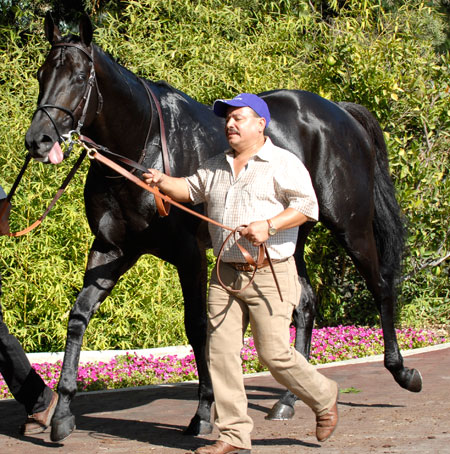 Midnight Lute