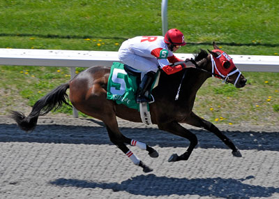 Russian Kitten first race April 4, 2009. Photo by Anne M. Eberhardt Russian Kitten first race April 4, 2009. Photo by Anne M. Eberhardt