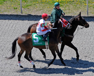 Russian Kitten Post Parade - photo by Anne M. Eberhardt Russian Kitten Post Parade - photo by Anne M. Eberhardt