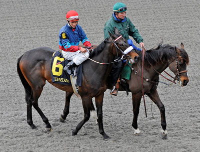 Tribecky Post Parade Keeneland, April 10, 2009 Tribecky Post Parade Keeneland, April 10, 2009