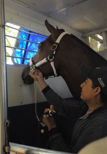 Nicanor leaves Stephens Thoroughbreds © Louise E. Reinagel