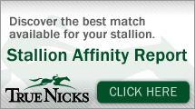 TrueNicks Stallion Affinity Report: Discover the best match available for your stallion.