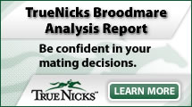 TrueNicks Broodmare Analysis Report: Be confident in your mating decisions. Click Here to Learn More!