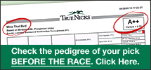 Check the pedigree of your pick BEFORE THE RACE. Click Here.