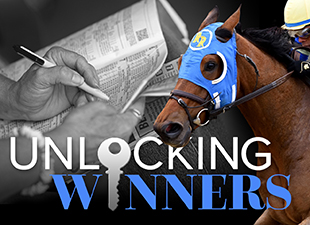 Will Nash Triumph in the Gun Runner Stakes? - Unlocking Winners